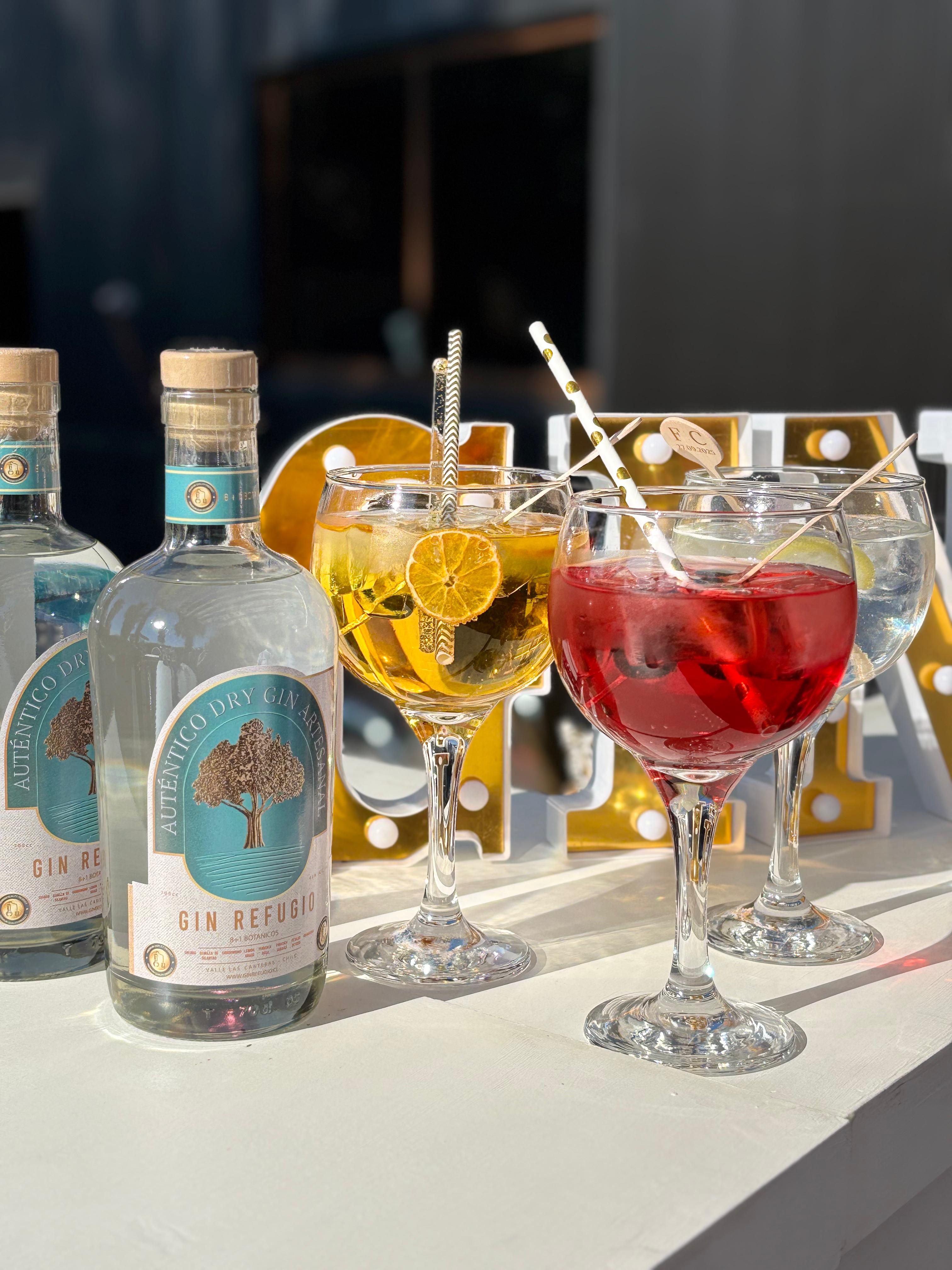 Gin con Gin